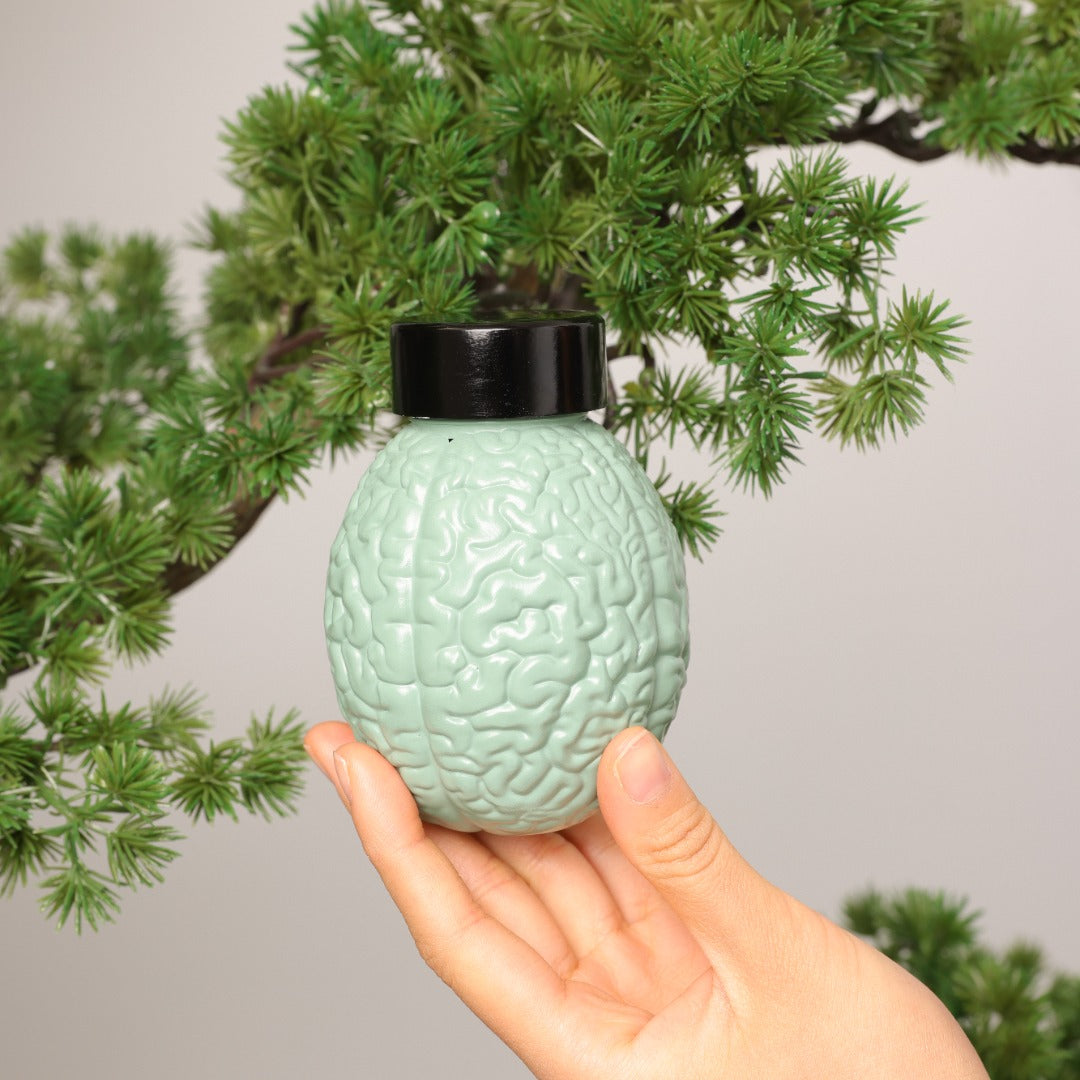 FOCUS — Clarity in Motion